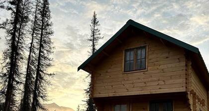 Secluded, Pet Friendly Cabin near Denali National Park with Mountain and Lake Views, Perfect for an Alaskan Escape