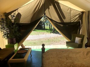 1 bedroom, desk, iron/ironing board, travel cot
