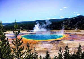 Une zone géothermique avec une grande source d’eau chaude, de la vapeur s’élevant dans les airs et une forêt en arrière-plan.