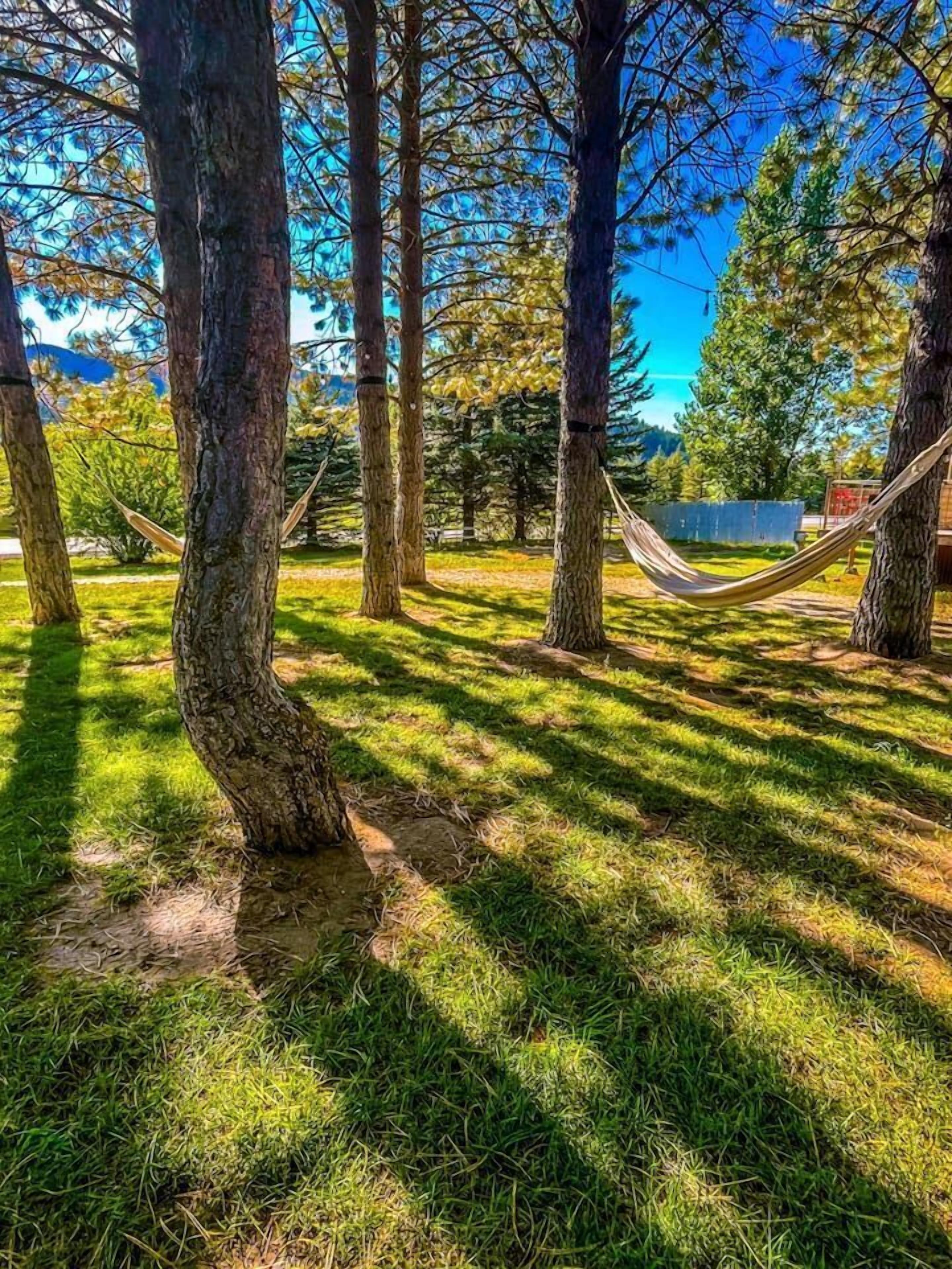 A hammock between trees in a grassy area.