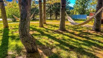 A hammock between trees in a grassy area.