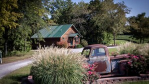 Property grounds - Lakefront Cozy Cabin with Hot-tub in Carbondale, Illinois (Carbondale)