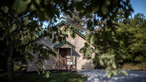 Exterior - Lakefront Cozy Cabin with Hot-tub in Carbondale, Illinois (Carbondale)