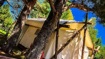 A hammock between trees with a tent in the background.