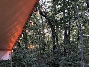 Una tienda de campaña con toldo marrón y luces colgantes, rodeada de un bosque denso.