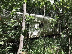 المنطقة المحيطة بالمنشأة