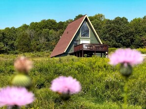 A triangular-roofed building with a porch, surrounded by lush greenery and wildflowers. - Breathtaking A-frame with Impressive Nature Views in Carbondale, Illinois (Makanda)