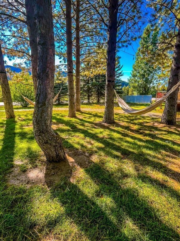 A hammock between trees in a grassy area.