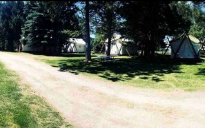Un terrain de camping avec des tentes, un sentier de terre et des arbres.