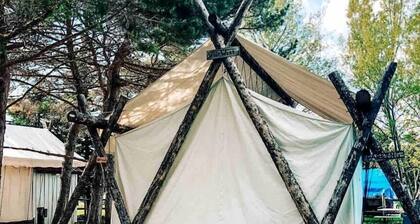 Pet-Friendly Safari Tent Glamping in Swan Valley, Idaho near Jackson Hole