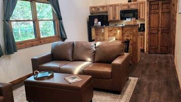 Televisión, chimenea y reproductor de DVD