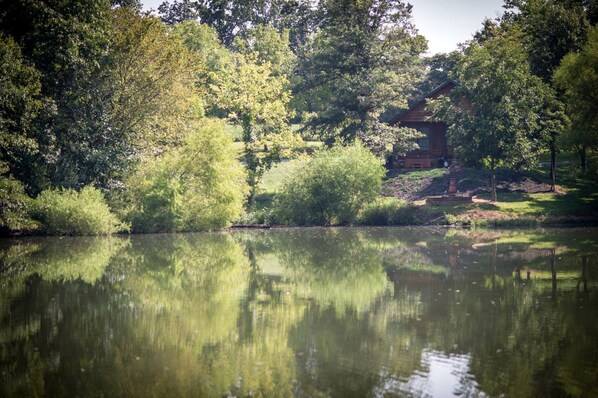 المنطقة المحيطة بالمنشأة