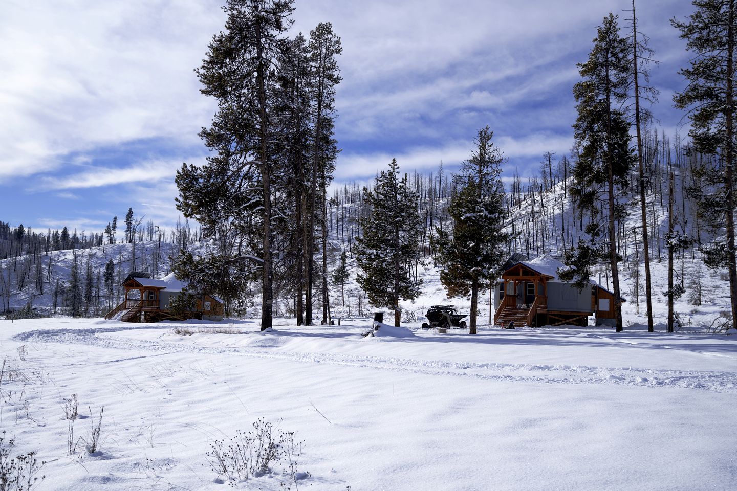 A cabin with a wooden exterior, surrounded by snow-covered ground and tall pine trees.