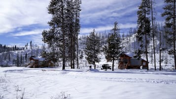 A cabin with a wooden exterior, surrounded by snow-covered ground and tall pine trees.