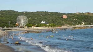 Una playa con gente nadando, una noria grande y una colina con edificios al fondo.