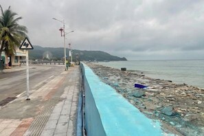 Una carretera costanera amb una barrera blava, palmeres i una noria a la distància.