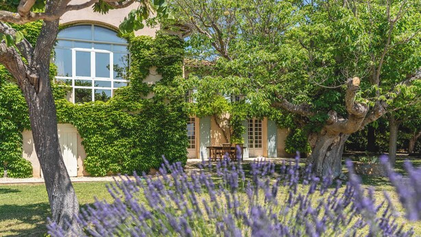 Ein Gebäude mit einem großen Bogenfenster, umgeben von üppiger Vegetation und einem Lavendel-Rasen.