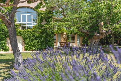 Mas provençal vue sur les vignes & Sainte-Victoire