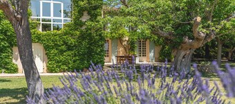 Mas provençal vineyard view & Sainte-Victoire