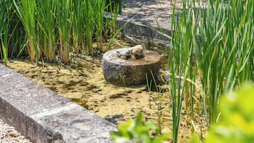 Enceinte de lâhĂ©bergement