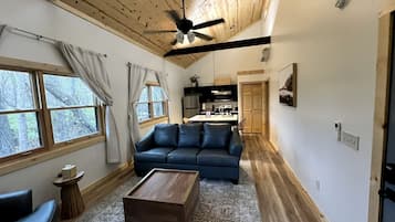 TV, fireplace, DVD player