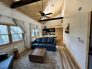 Televisión, chimenea y reproductor de DVD