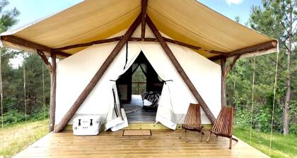 Entire Safari Tents Campground Ideal for Large Groups in Kentucky