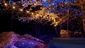 A hot tub with a blue light, surrounded by trees and rocks.