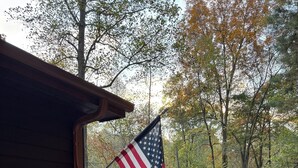 A wooden cabin with a gravel path leading to it, surrounded by trees with autumn foliage. - Honey Bear Hideway - Hot Tub - Close to Blue Ridge and Ellijay (Ellijay)