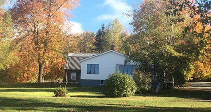 Embrace Nature in this Breathtaking Cottage in Portage Lake, Maine