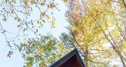Eco-Friendly Solar Powered A-Frame Treehouse with Hot Tub and Private Dock on Littlefield Pond, near Wells, Maine