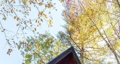 Eco-Friendly Solar Powered A-Frame Treehouse with Hot Tub and Private Dock on Littlefield Pond, near Wells, Maine