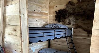 Magnificent Cabin Nestled Amidst Trees in Portage Lake, Maine