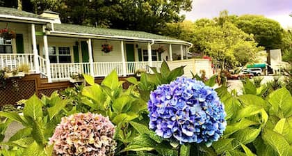 Sunny Room with a Private Deck in a Bed and Breakfast near Camden Hills State Park, Maine