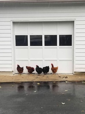 Details aan de buitenkant