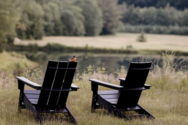 Kaksi Adirondack-tyylistä puutarhatuolia, jotka on asetettu vastakkain siten, että niiden edessä on vesistö, ja toisen tuolin selkänojassa istuu lintu.