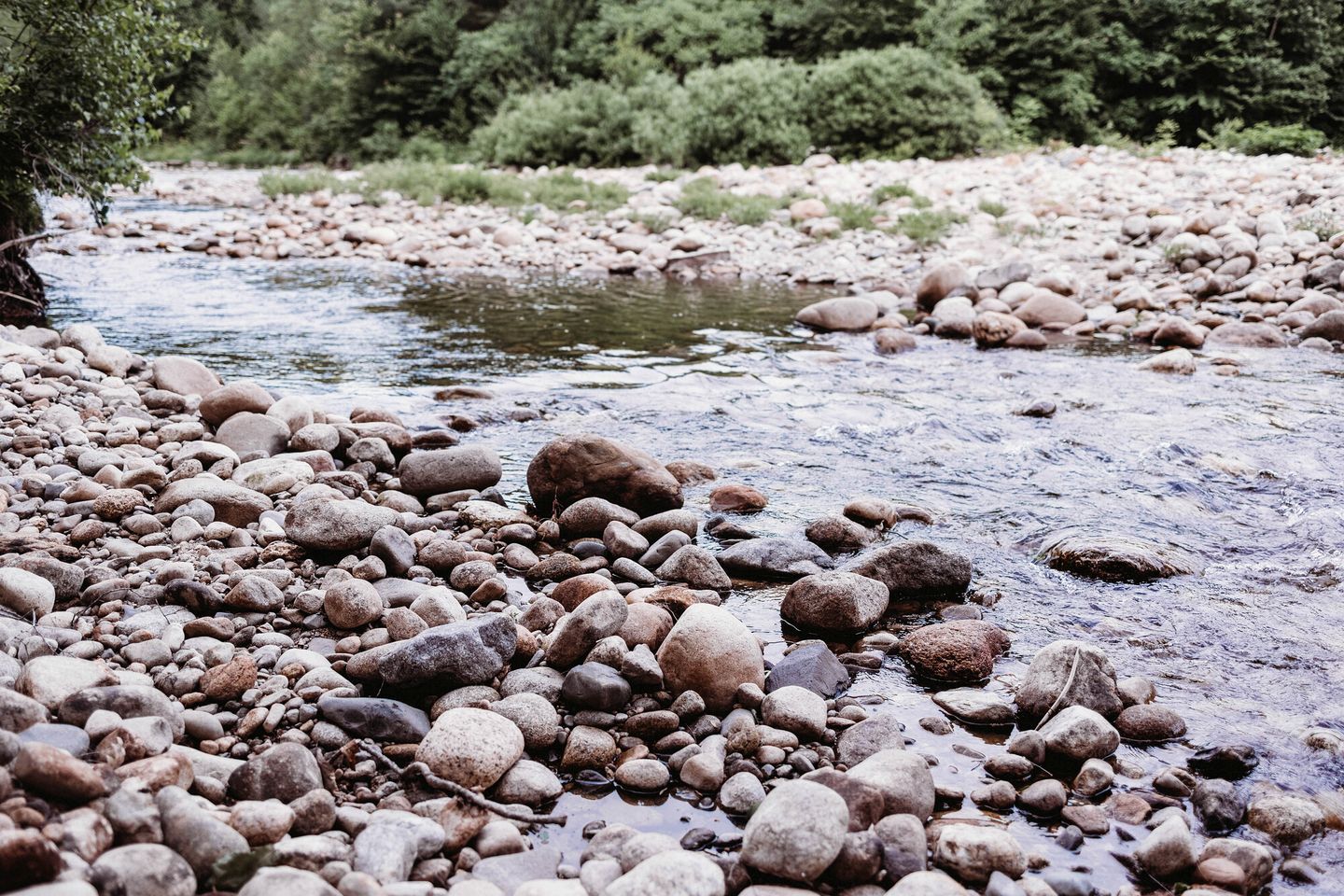 A riverbank with a variety of rocks and pebbles.