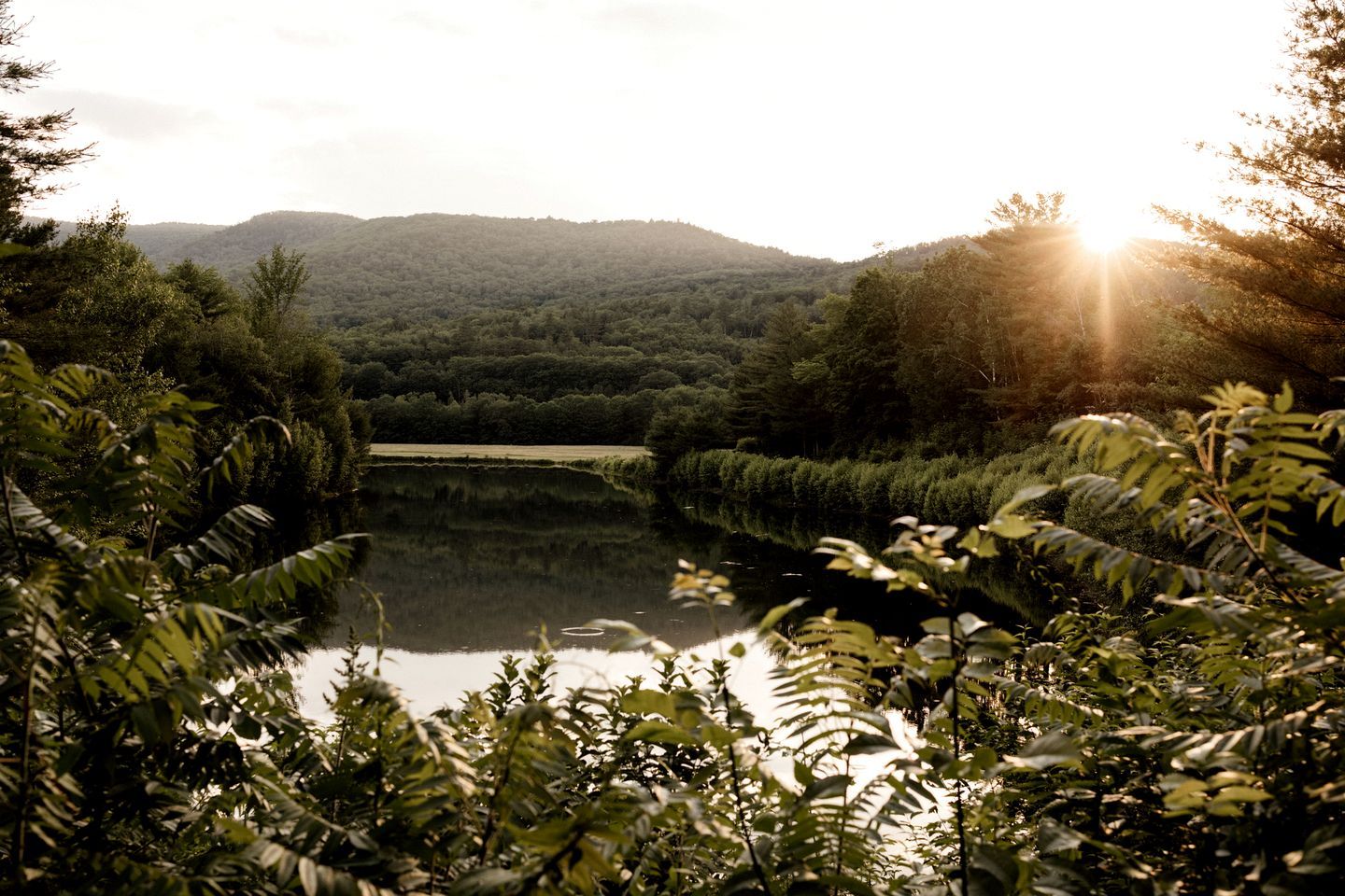 A serene lake surrounded by dense forest and hills, with sunlight reflecting off the water.