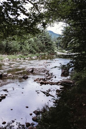 A river flowing through a forested area with rocks and trees.