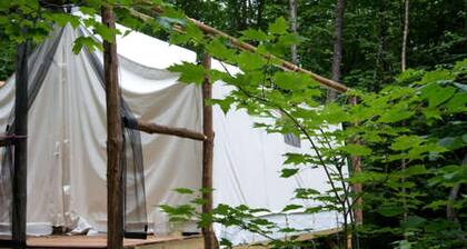 Treehouse-Style Tent Rental in the White Mountain National Forest of New Hampshire