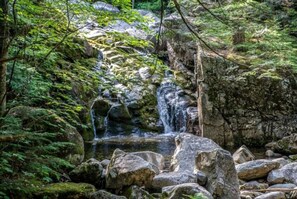Miscellaneous - Treehouse-Style Tent Rental in the White Mountain National Forest of New Hampshire (Chatham)