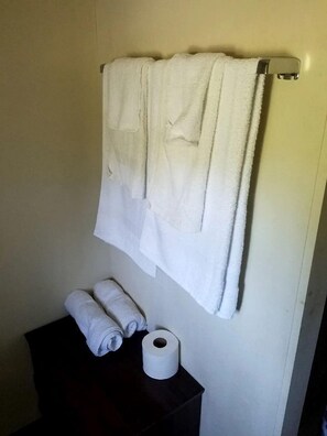 Towels, soap, shampoo, toilet paper