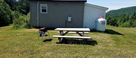 A small cabin with a picnic table and a portable propane tank in a grassy area with trees in the background.