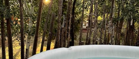 A hot tub surrounded by trees.