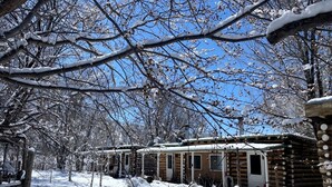 Exterior - Charming Log Cabin Rental on Eco-Farm near Taos Ski Valley (Taos Ski Valley)