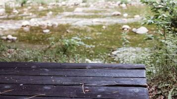 A wooden bench in a natural setting with a river and greenery in the background.