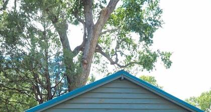 Create Lasting Memories: Family-Friendly Rustic Cabin in New Mexico's Backcountry