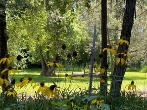 Property grounds - Create Lasting Memories: Family-Friendly Rustic Cabin in New Mexico's Backcountry (San Miguel County)