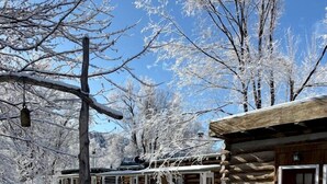 Exterior - Rustic Log Cabin on Eco-Friendly Farm near Taos, New Mexico (San Cristobal)