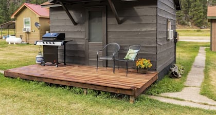 Cozy Tiny Cabin 8 in Rapid City, SD